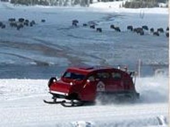 Private Snowcoach Tours in Yellowstone