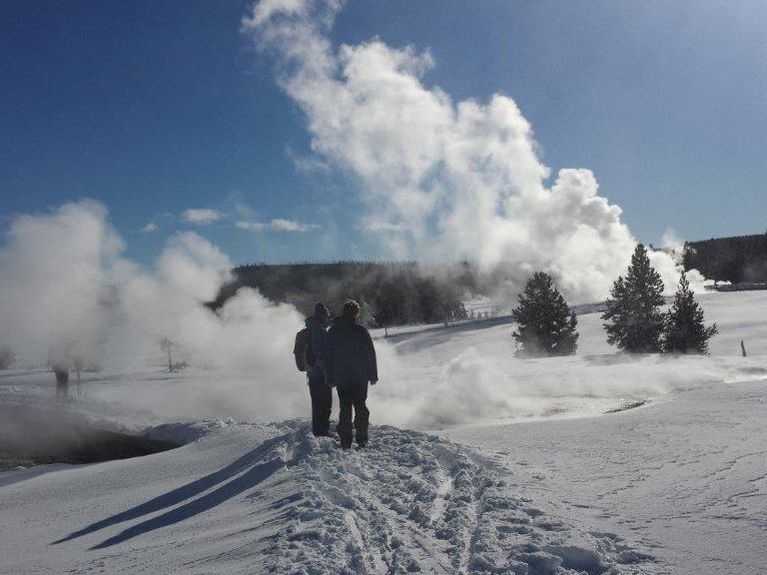Best Yellowstone Winter Tours