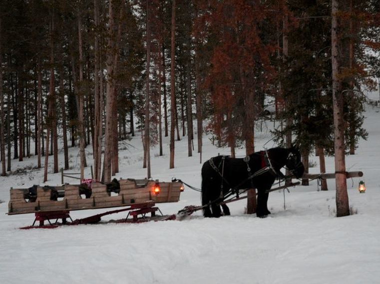 Snowshoe and Sleigh Ride in Big Sky