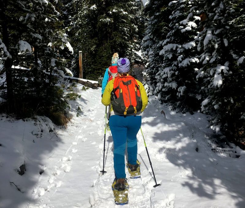Guided snowshoe adventures and tours in Yellowstone