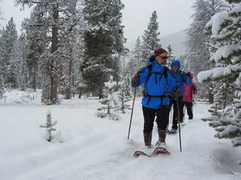 Guided Snowshoe Tours in Yellowstone