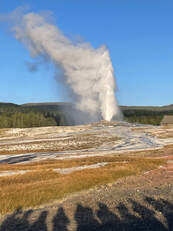Best Yellowstone Tours and Guides