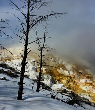 Yellowstone Winter Hot Springs Tours